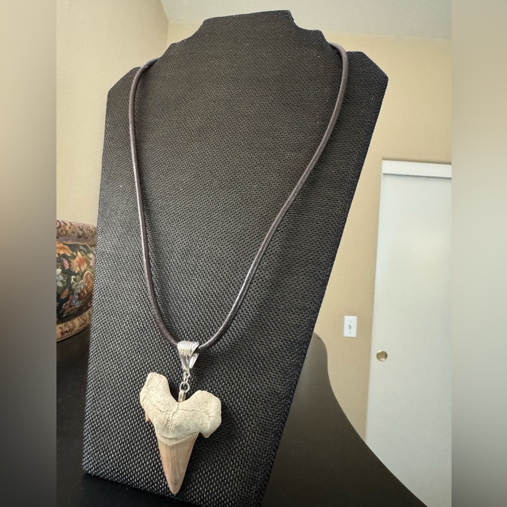 Authentic Shark Tooth Pendant Necklace on Brown Leather Cord - Picture 5 of 6